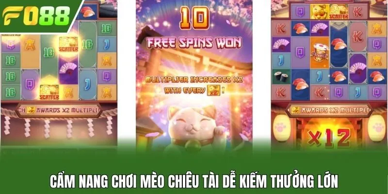 Cẩm nang chơi mèo chiêu tài dễ kiếm thưởng lớn