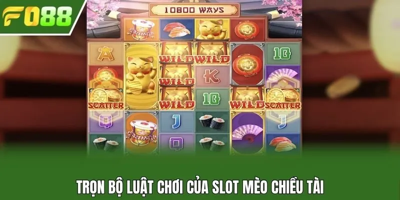 Trọn bộ luật chơi của slot mèo chiều tài